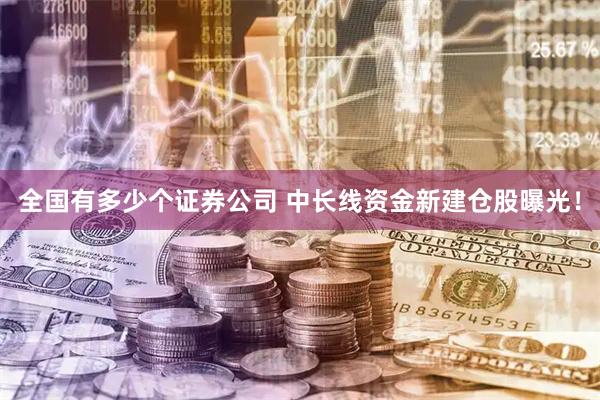 全国有多少个证券公司 中长线资金新建仓股曝光！