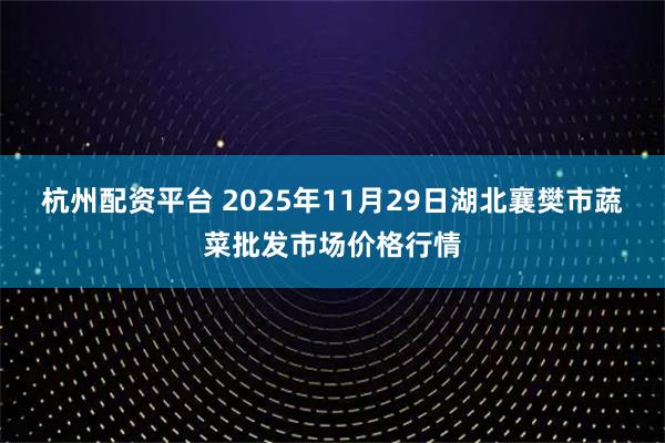 杭州配资平台 2025年11月29日湖北襄樊市蔬菜批发市场价格行情
